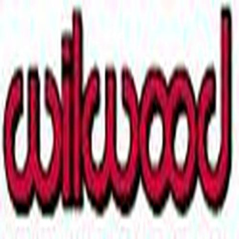 250-10436 Wilwood Bracket