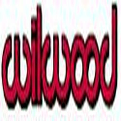 250-10436 Wilwood Bracket