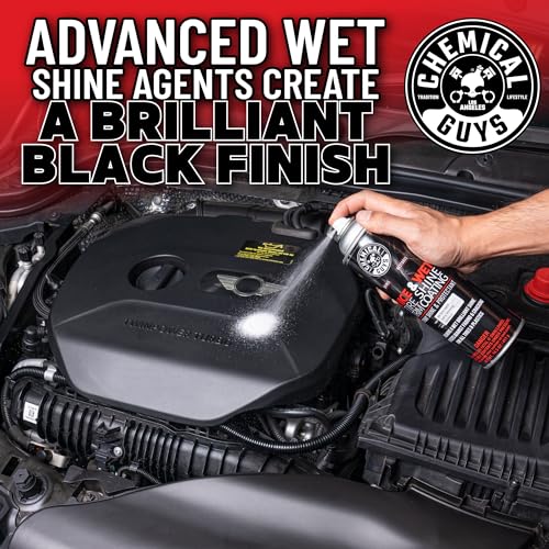Chemical Guys Nice & Wet TVDSPRAY101 Tire Shine Trim Coating for Rubber, Plastic and Vinyl, Safe for Cars, Trucks, SUVs, Motorcycles, RVs & More, 14.5 fl oz