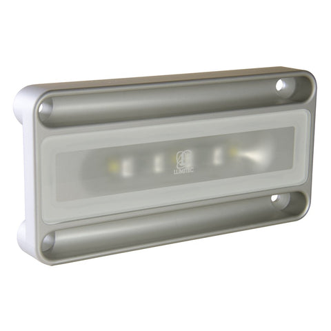 Engine Room Light Nevis2, Brushed, White/Red, Surface Mount