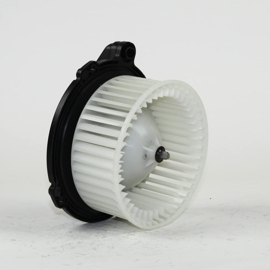 Blower Assy TYC 00-02 Hd Paspt
