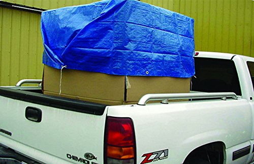 Economy Poly Tarp Erickson 57000