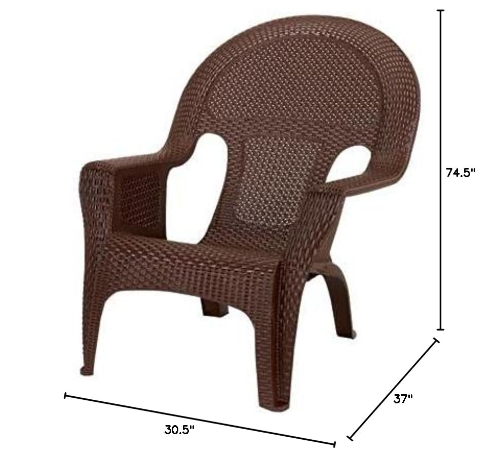 Brown Adams 1 pc. Resin Frame Woven Chair