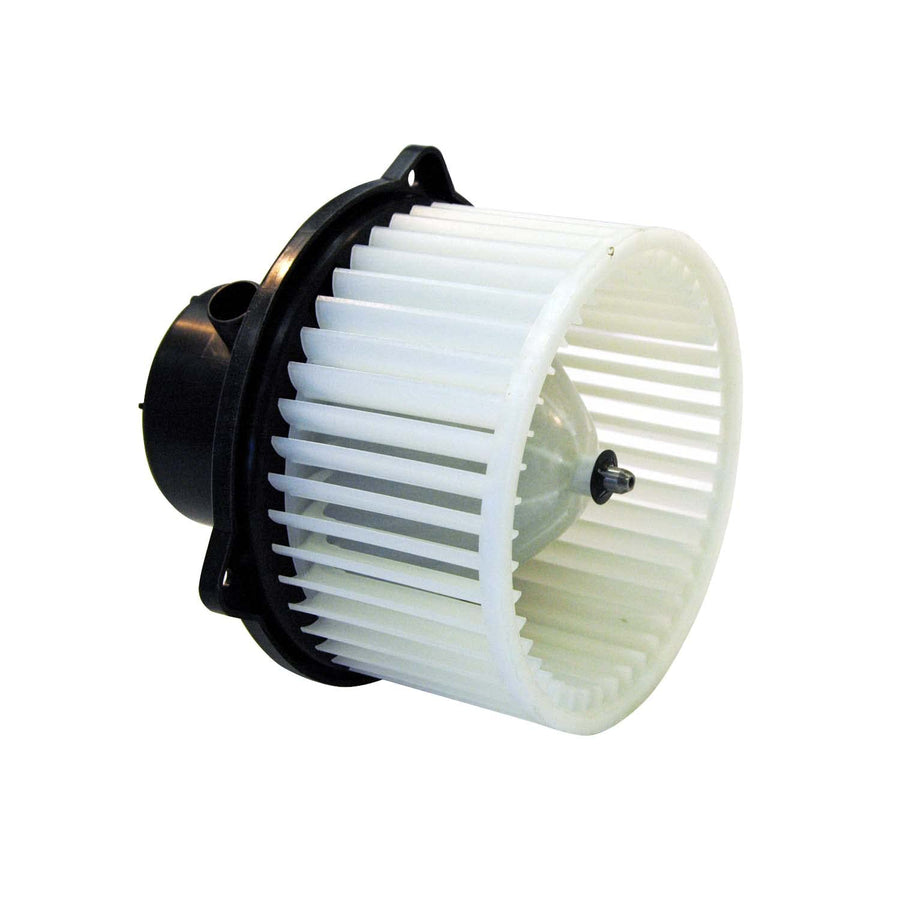 Blower Assy TYC 99-05 Hy Snata