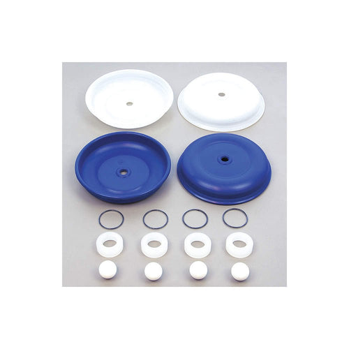 Fluid KITS05TTP Fill-Rite SECTION Kit Teflon, PP, for 1/2" Pump