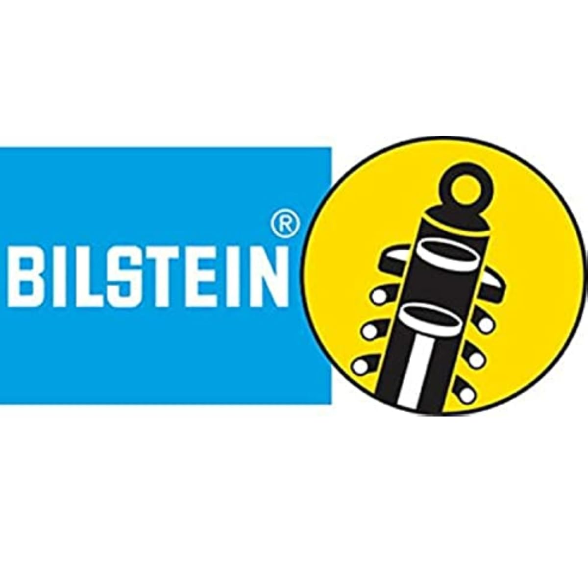 B6 4600 Bilstein Single Rear Suspension Shock Absorber Fits 1994 1997 1500 2500 3500 4WD - Consistent Fade Free Performance, Monotube Design