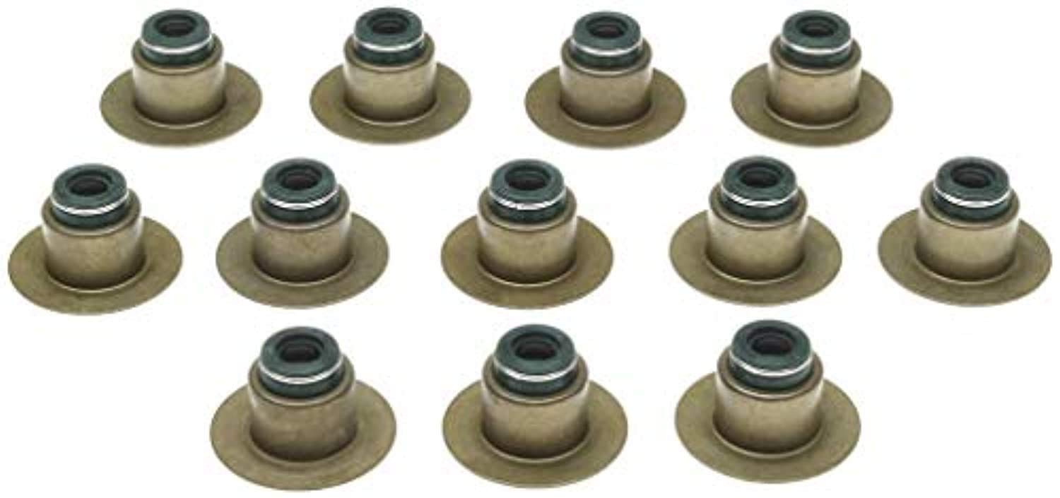 Reinz Victor SS45963 Engine Valve Stem Oil Seal Set