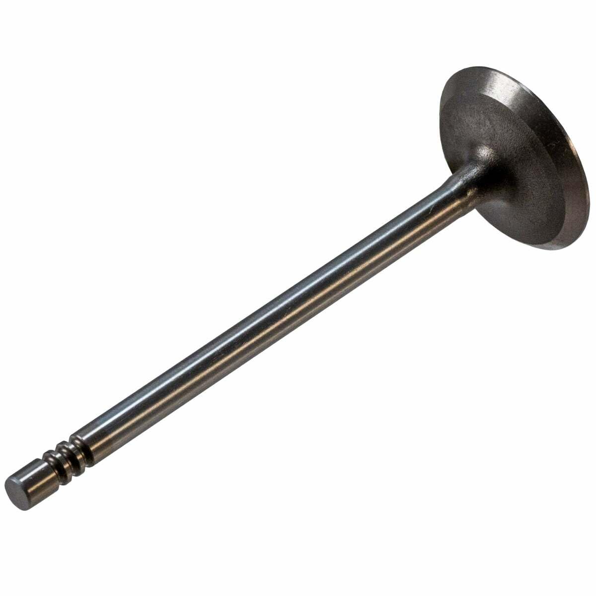 V1920 Melling Intake Valve
