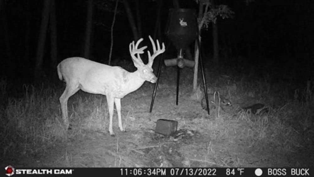 GMAX32 NO GLO Vision Stealth CAM 32MP Photo & 1080P Video at 30FPS 42-940nm LEDs 0.4 Sec Trigger Speed 100Ft Detection & IR Range Hunting Trail Camera