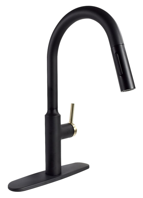 Phoenix Premium Slimline Single Handle Pull Down Kitchen Faucet - Black with Gold-Tone Handle PF231780