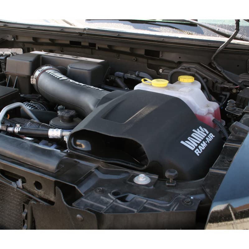 41882-D Banks Air Intake System