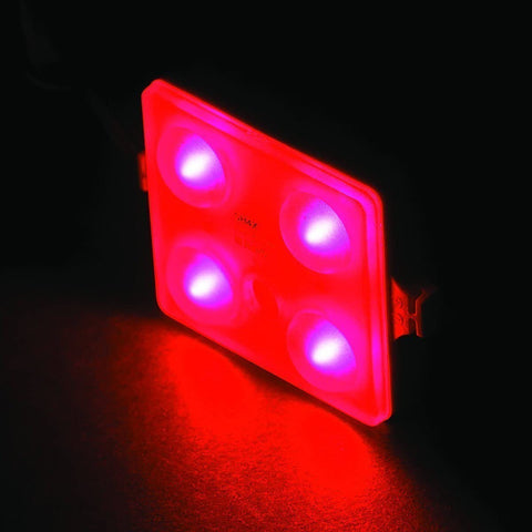 QUAD LED Module Courtesy Lights