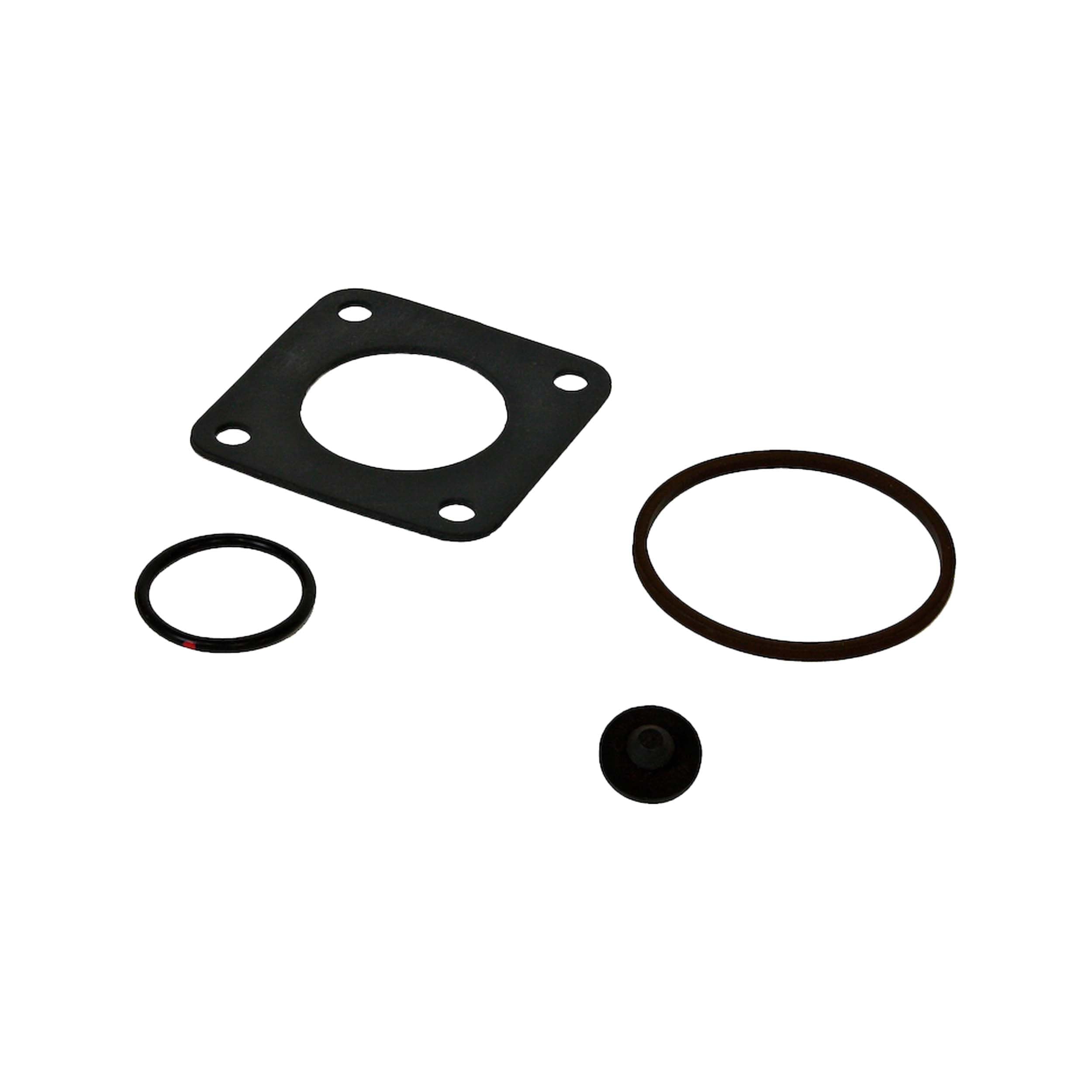 KIT120BD Fill-Rite Conversion Kit to Bio-Diesel/E85 Pump for FR600, FR1200, FR2400, FR4200, FR4400, SD1200, SD600 Series Pumps