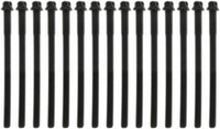Engine Cylinder Head Bolt Set MAHLE GS33459, 1 Pack