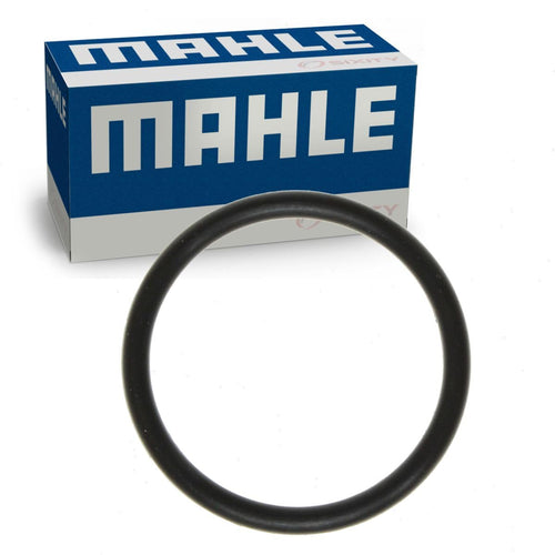C31699 MAHLE Original Gasket