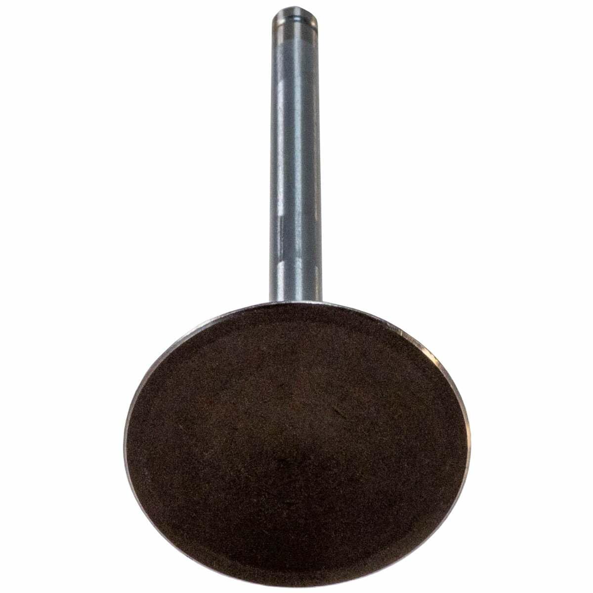 V1934 Melling Intake Valve