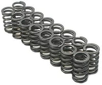 22145-16 Manley Valve Spring, 16 Piece