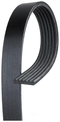 Automotive Gates V-Ribbed K060935 Belt (Standard)