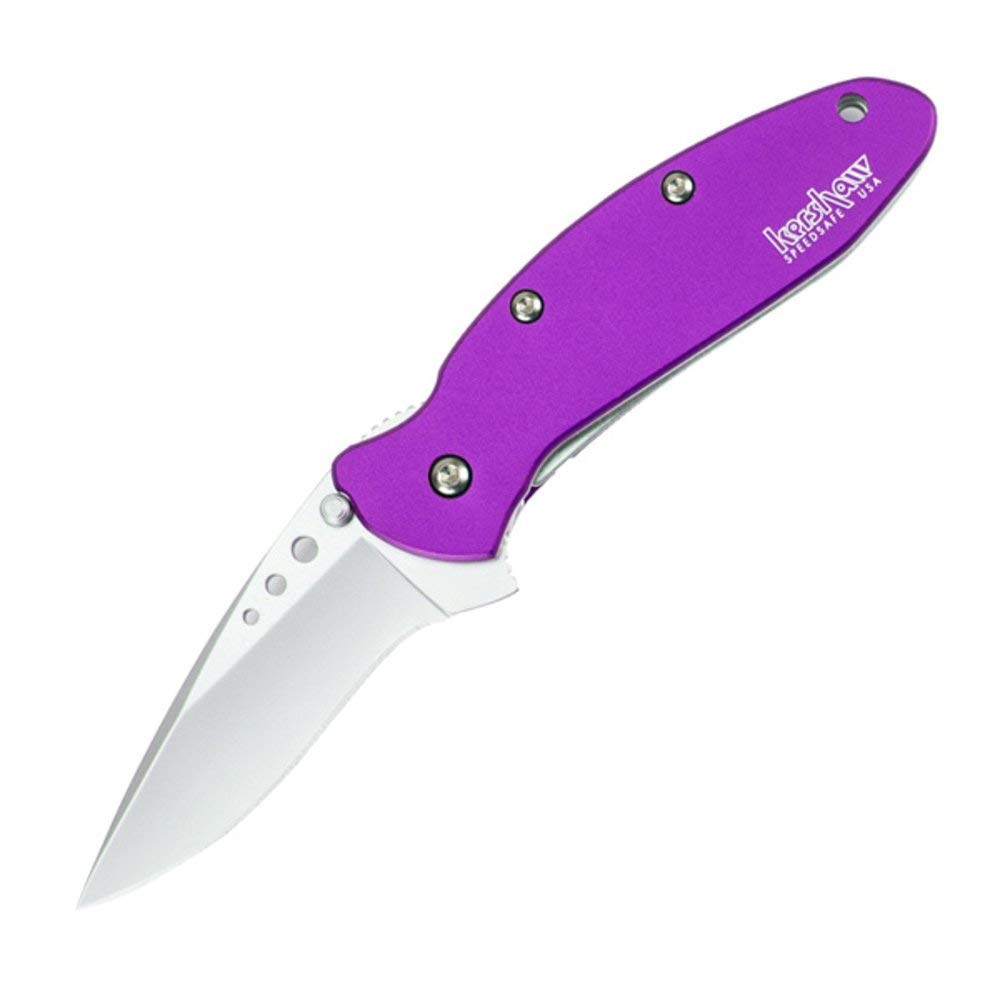 Kershaw Purple Scallion Folding Knife (1620PUR), 2.4 Bead-Blasted 420HC Steel Blade, Anodized Aluminum Handle, SpeedSafe Assisted Open, Flipper, Liner and Tip Lock, Single-Position Pocketclip; 2.5 OZ