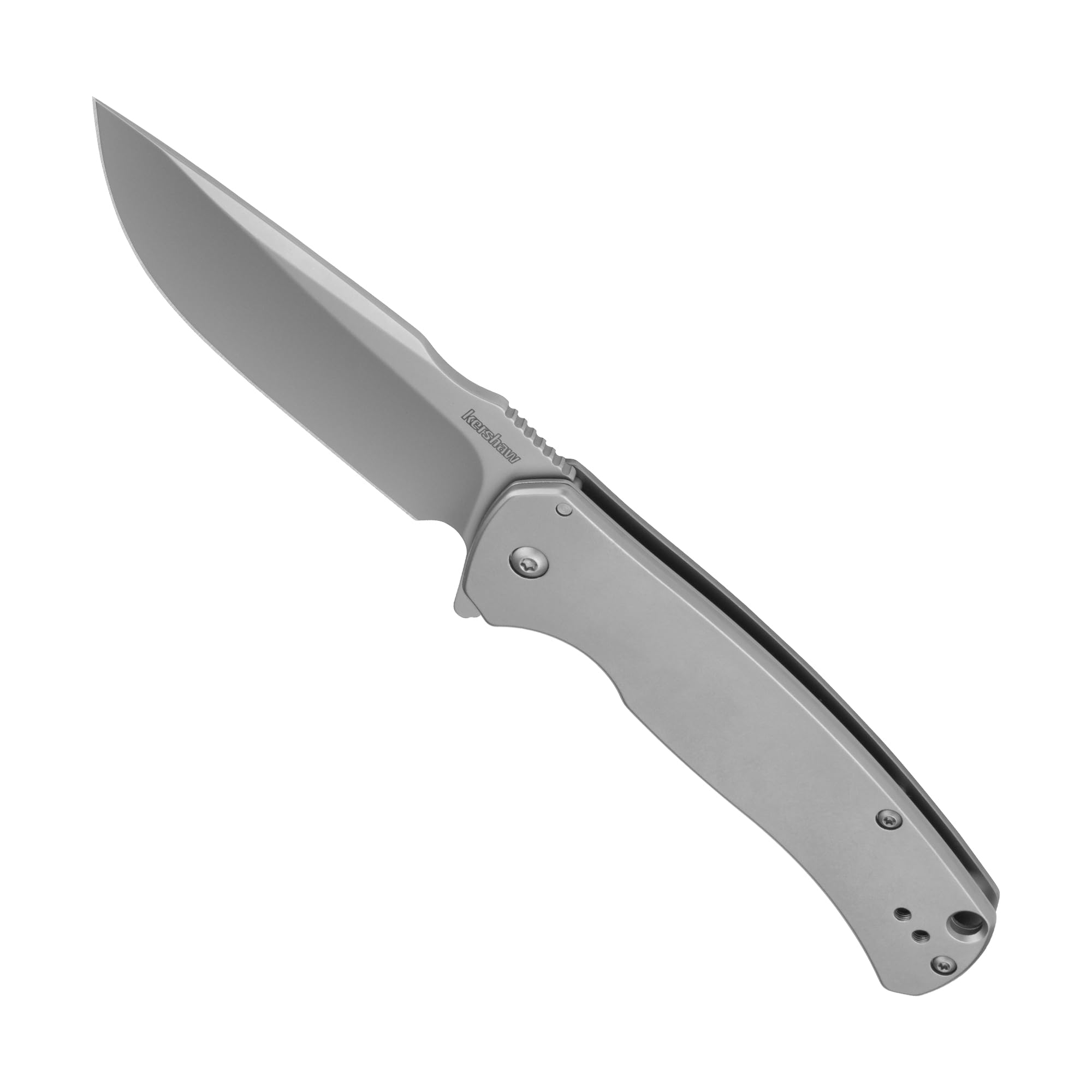 Kershaw Pocket Knife Scour, Matte Gray Design, 3.3 Inch Stainless Steel Drop Point Blade, EDC with Assisted Opening, Reversible Pocketclip, Everyday Carry Pocket Knife for Men and Women