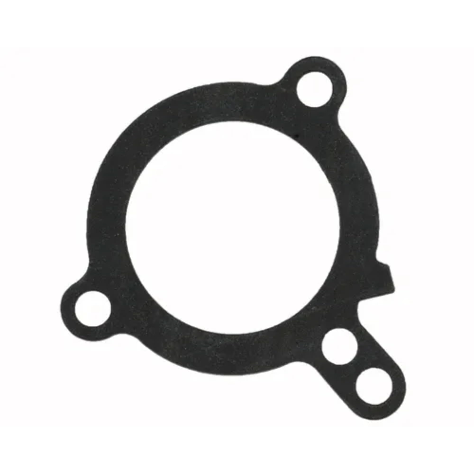 Thermostat, Gasket