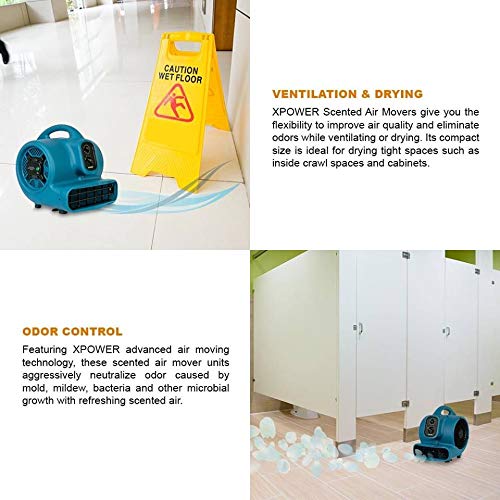 Freshen Aire XPOWER P-260NT 1/4 HP, 925 CFM, 4 Speeds Mini Mighty Scented Air Mover, Utility Fan, Dryer, Blower with Ionizer and Timer, Blue