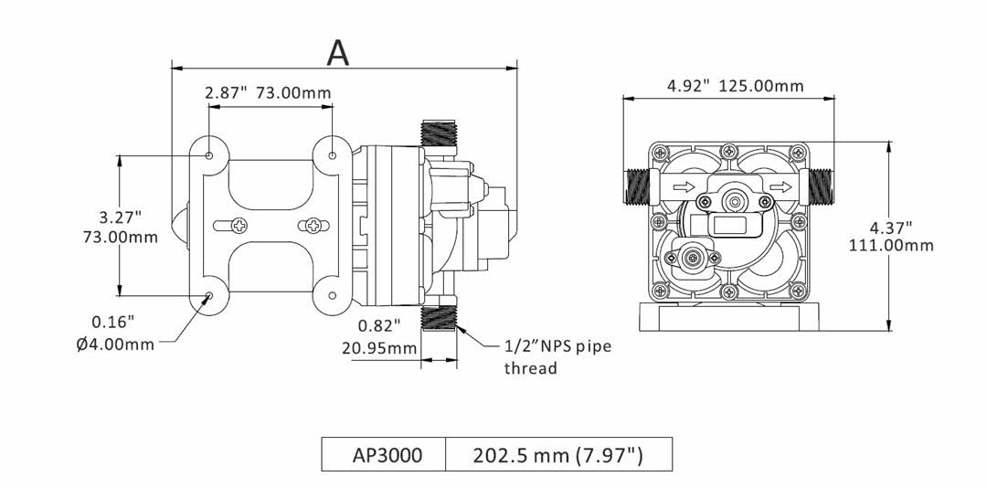 Aqua Pro AQUAPRO 21849 Fresh Water Pump Self-Priming