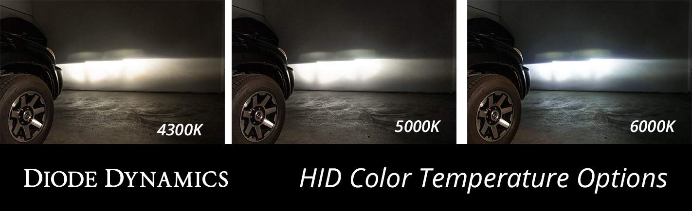 D6A Replacement Diode Dynamics HID Bulbs (pair), 5000K