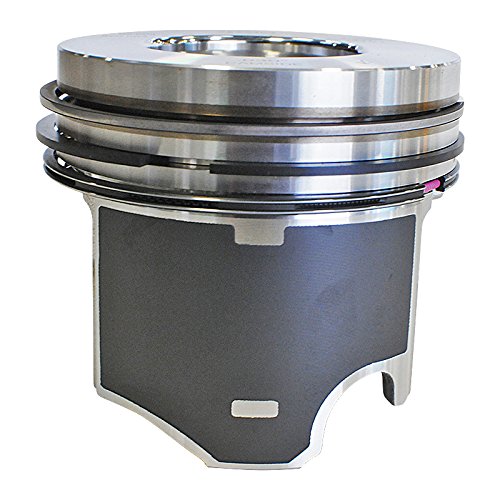 224-3454WR.030 Mahle Piston