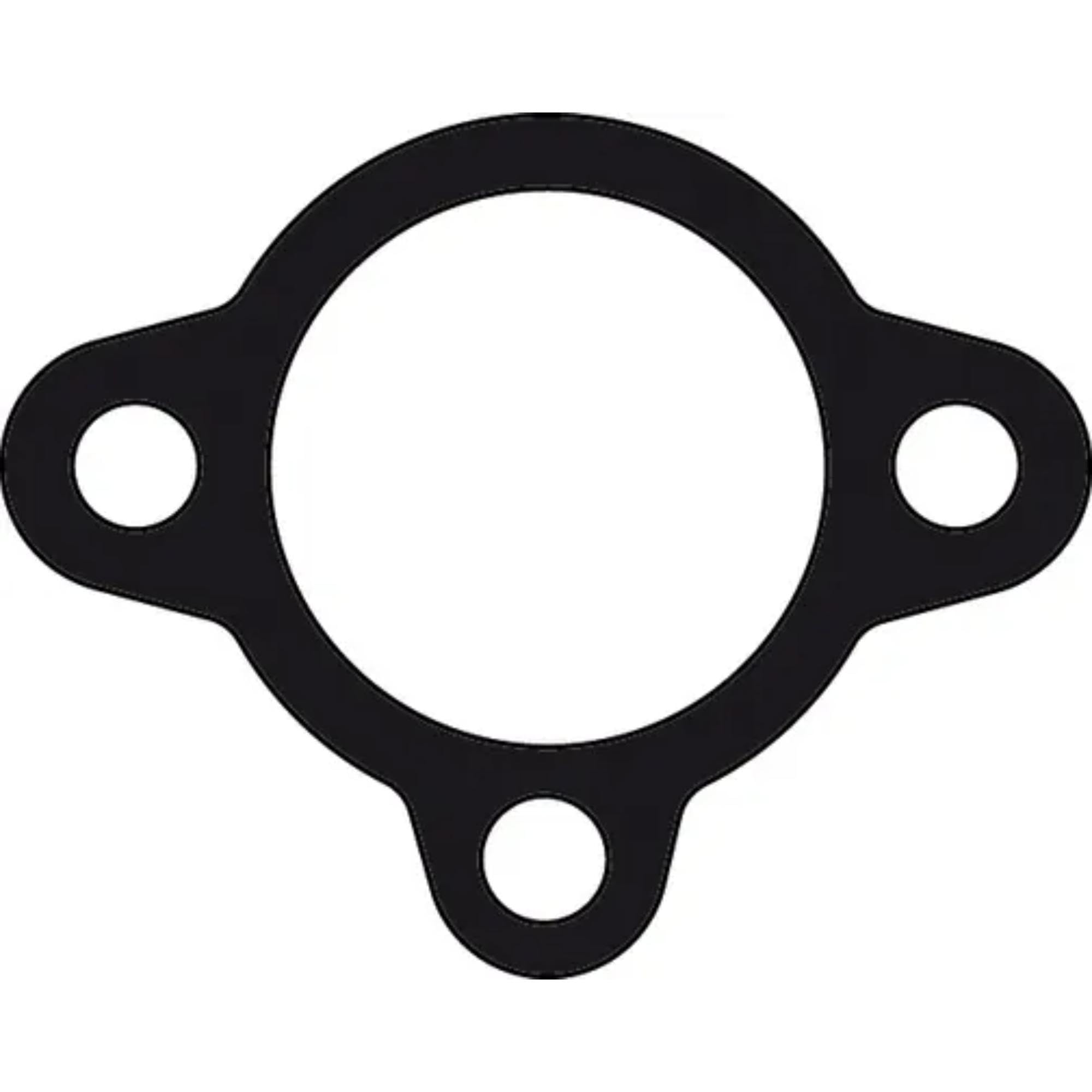 18-99120 Sierra International Thermostat Gasket