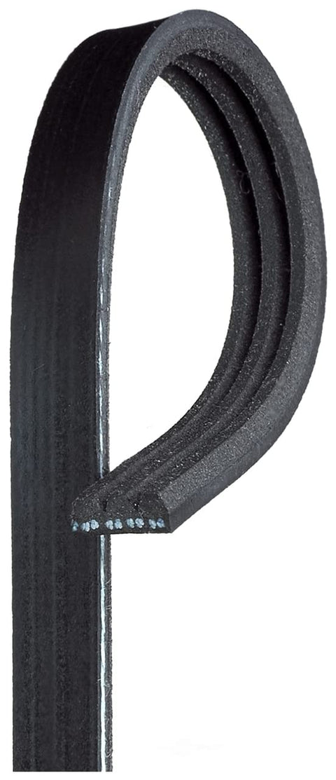 Belt Serpentine