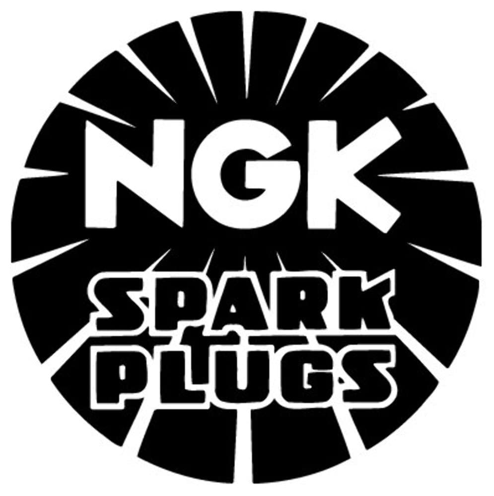 BR10EG NGK SPARK PLUG [3830]