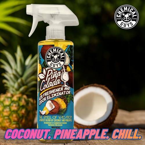 Chemical Guys Premium Air Freshener & Odor Eliminator AIR22904 (4 Oz, Piña Colada Scent)
