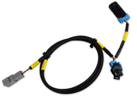 Aem Plug And Play Cd-7/cd-7l Adapter Harness For Holley Efi