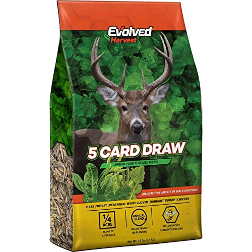 CARD DRAW 5