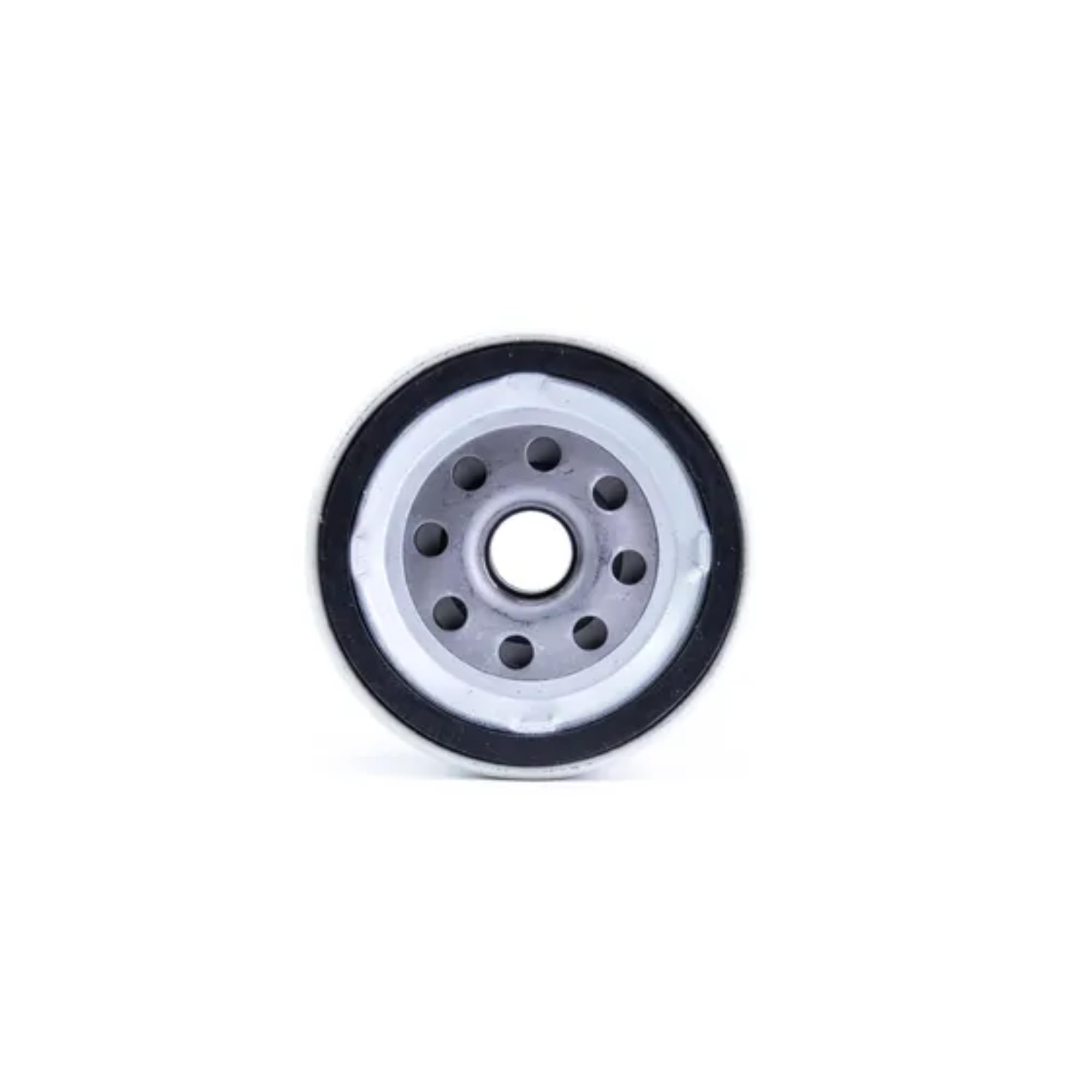 Canister FWS Filter Sierra 18-99193 - 10 Micron