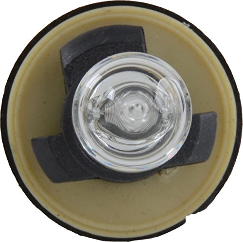 885 Philips Standard Fog Bulb (Pack of 1)