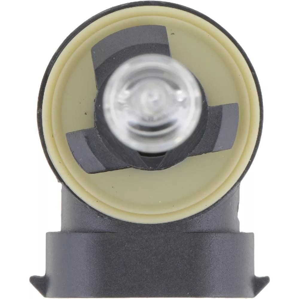 Standard Fog Bulb Philips Automotive Lighting 894 (Pack of 1)
