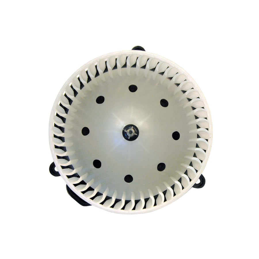 GMC/Chevrolet TYC 700101 Replacement Blower Assembly