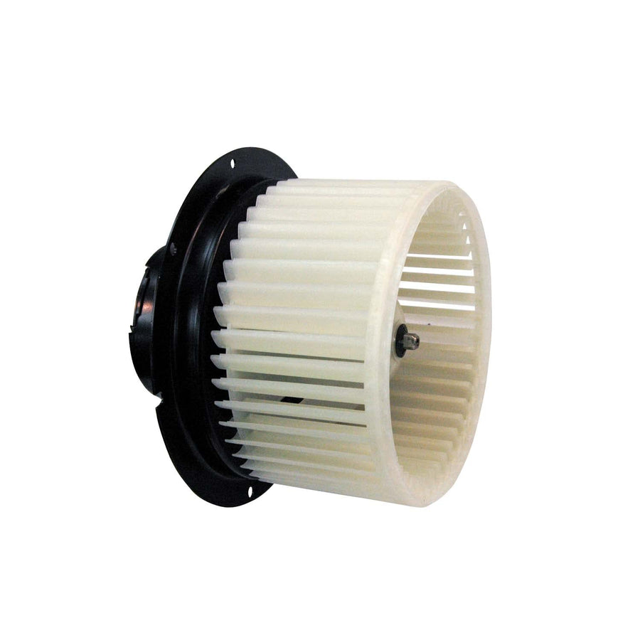 Ford TYC 700099 Replacement Blower Assembly