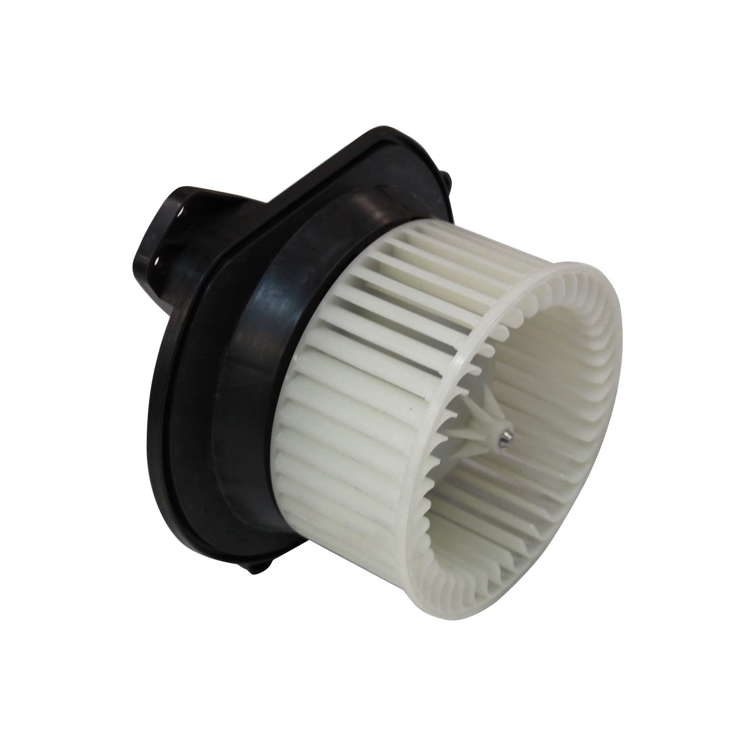Replacement TYC 700217 Blower Assembly for Ford Focus
