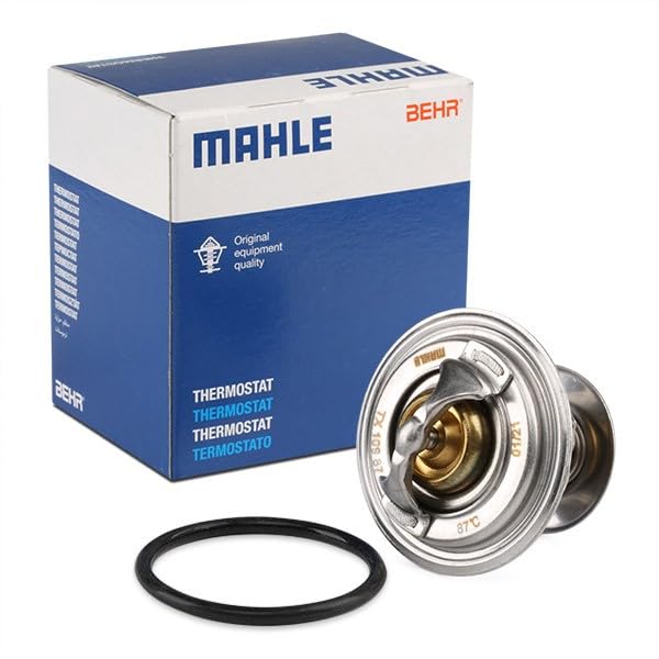 Thermostat MAHLE Insert TX10987D
