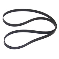 18-18100, Sierra International Serpentine Belt, white
