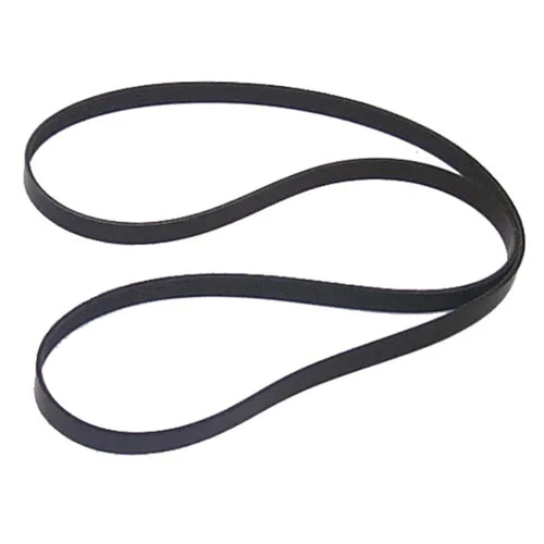 18-18100, Sierra International Serpentine Belt, white