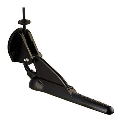 Transom Mount Raymarine CPT-100DVS Transducer
