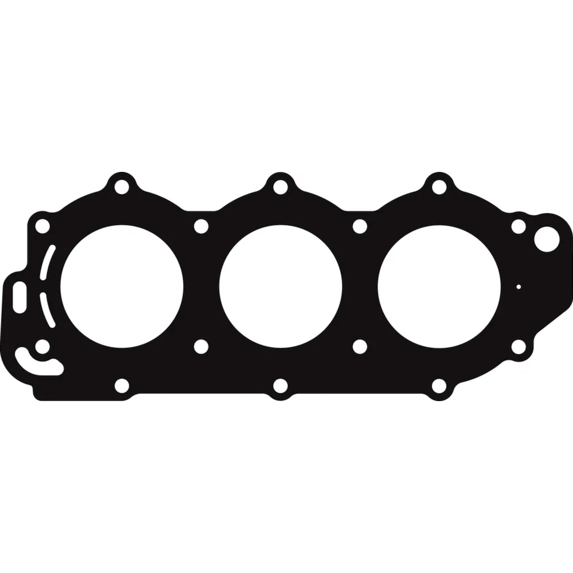 18-99060 Sierra Head Gasket
