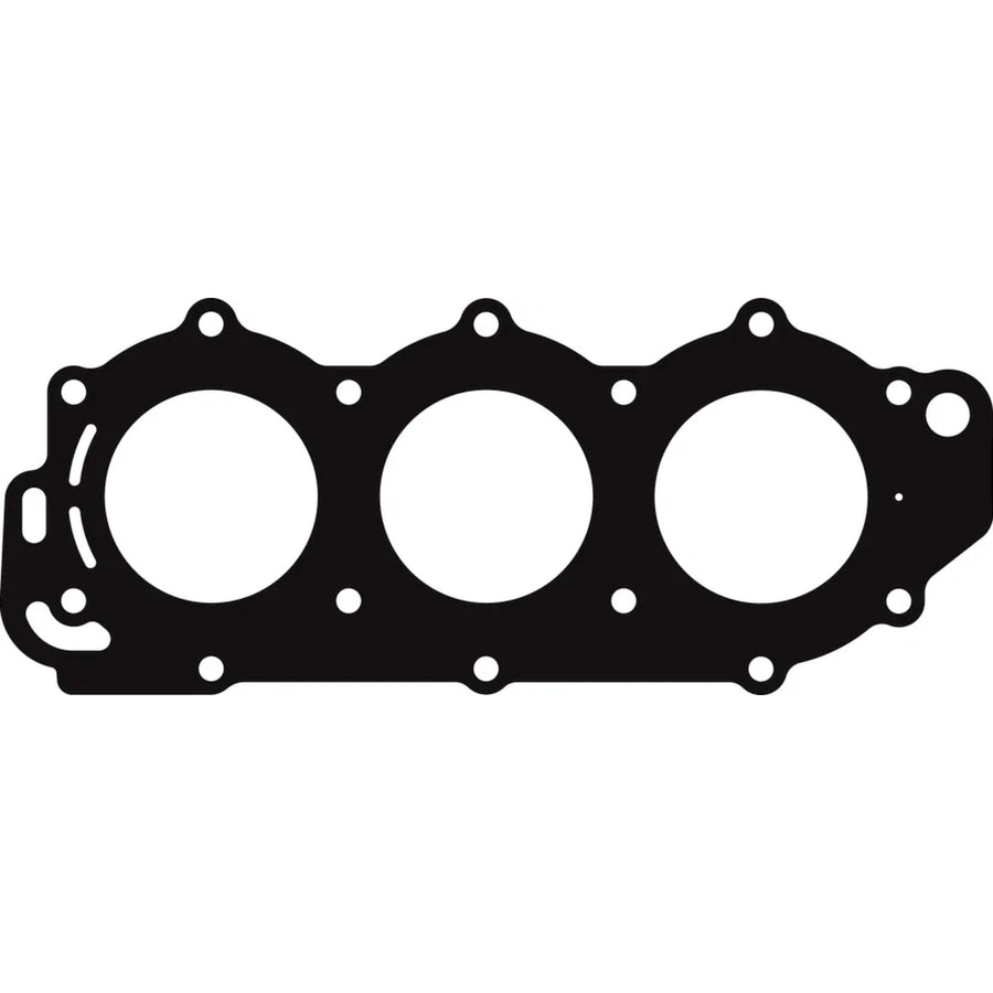 18-99060 Sierra Head Gasket
