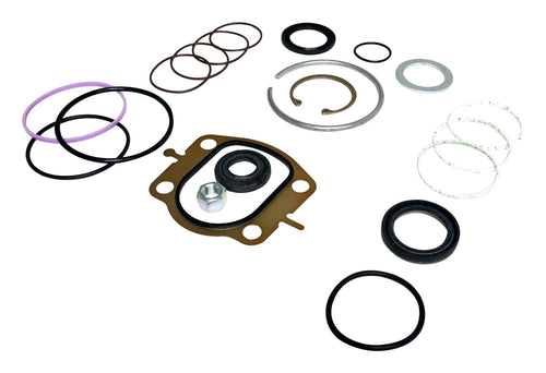 Steering Box Crown Master Seal Kit