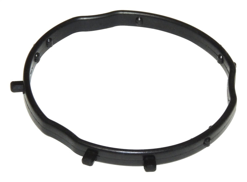Camshaft Crown - Actuator Phaser Seal (4893806AB)