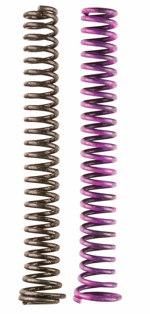 Moroso Replacement Spring Kit 22852, Fits Moroso 22171, 22192 and all Small Block Chevy Spur Gear Oil Pumps